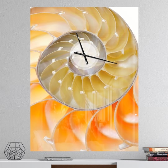 Designart 'Isolated Nautilus Shell Modern Rectangular Wall Clock